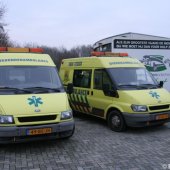 Zeehond aan gespoeld vervolg Pieterburen