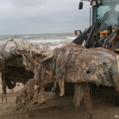 Restanten Bultrug Katwijk