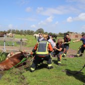 Paard te water Kooltuinweg Valkenburg