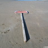 Zeehondenbord teruggevonden Langevelderslag