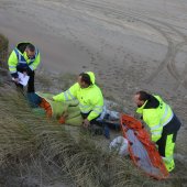 Grote hulpverleningsoefening strand afrit 29 Noordwijk