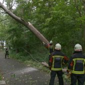 Stormschade Duinweg Noordwijk