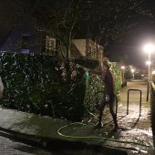 Hegbrand Groenewege Noordwijkerhout