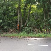 Auto vliegt uit bocht N206 Katwijk