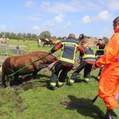 Paard te water Kooltuinweg Valkenburg