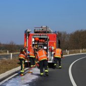 Dieselspoor op de oprit N206 Ruigenhoek Noordwijkerhout