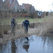 Dier in nood Dauwbraam Katwijk