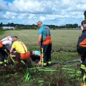 Dier te water N206 - Kooltuinweg Katwijk