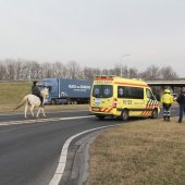 Ongeval van Berckelweg N444 Noordwijk