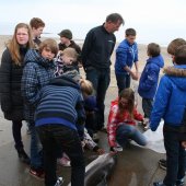 Natuur avondtuur van Theodoor Braaksma vanuit de NRB post