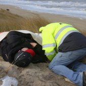 Grote hulpverleningsoefening strand afrit 29 Noordwijk