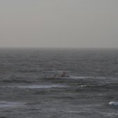 Surfer in problemen  Katwijk