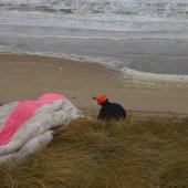 Grote hulpverleningsoefening strand afrit 29 Noordwijk