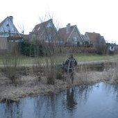 Dier in nood Dauwbraam Katwijk