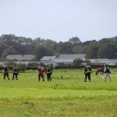 Paard te water Kooltuinweg Valkenburg