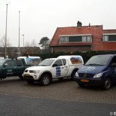 Jonge grijze zeehond Zandvoort