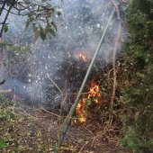 Hegbrand Westeinde Noordwijk