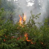 Duinbrand Noordwijk