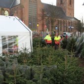 Kerstbomen verkoop gestart Jeroensplein voor goede doel