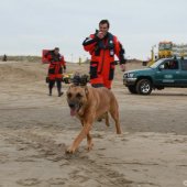 Zoek actie naar vermiste man Noordwijk