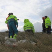 Grote hulpverleningsoefening strand afrit 29 Noordwijk