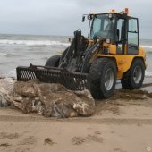 Restanten Bultrug Katwijk