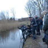 Dier in nood Dauwbraam Katwijk