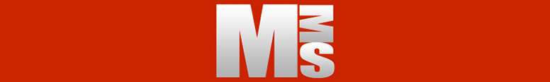 Maine Motor Solutions