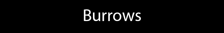 Burrows Toyota Worksop