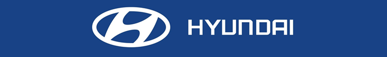 Hyundai Bristol