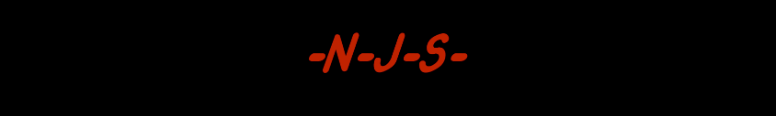 NJS Motor Vehicle Services