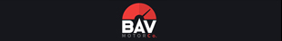 BAV Motor Company logo