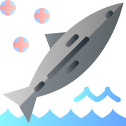 salmon