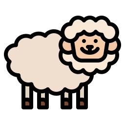 Sheep