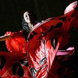 Tapas Meal & Flamenco Show