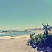 VIP Beach Club Babes