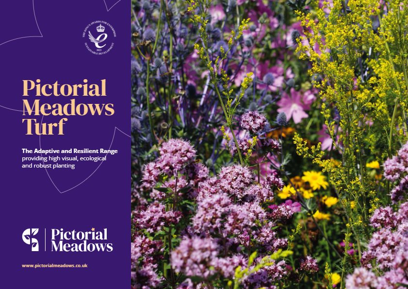 Pictorial Meadows Turf Brochure Brochure