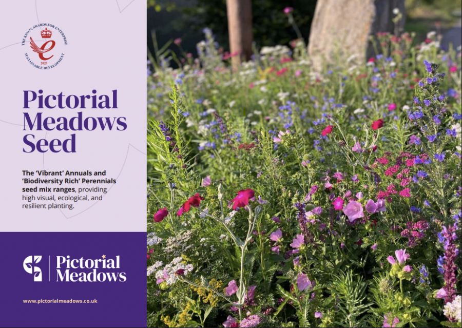 Pictorial Meadows Seed Brochure Brochure