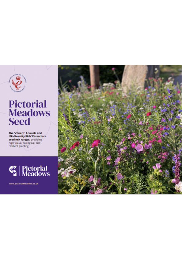 Pictorial Meadows Seed Brochure Brochure