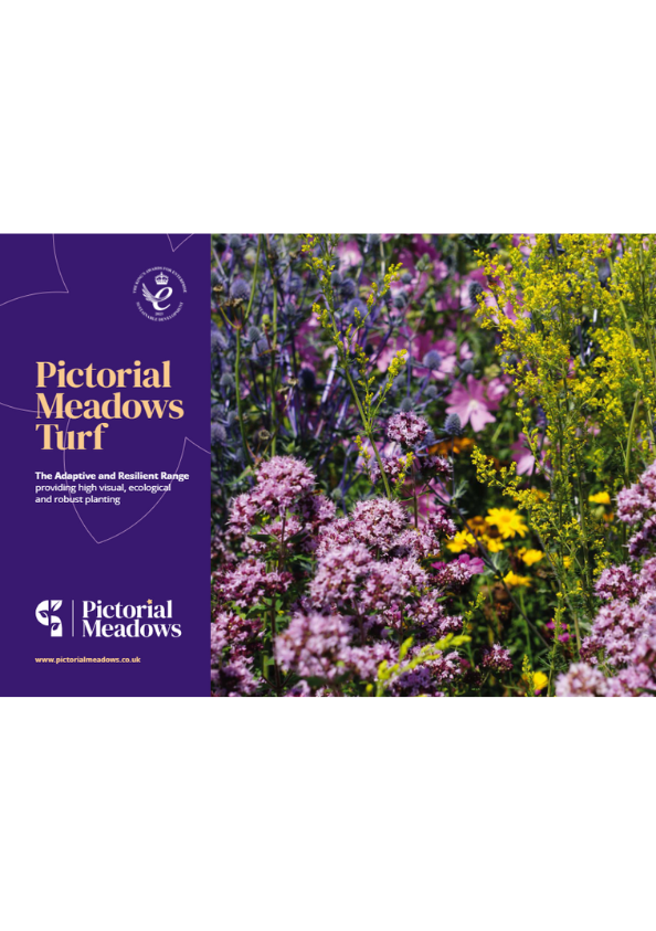 Pictorial Meadows Turf Brochure Brochure