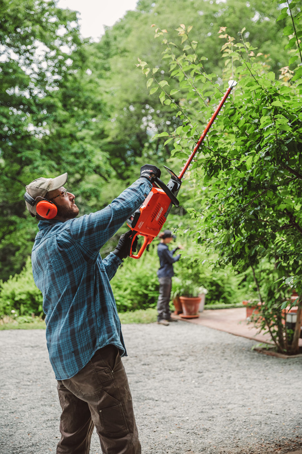 echo battery hedge trimmer