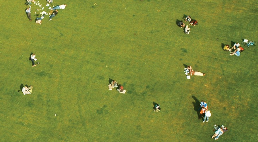 Unveiling Green Space Insights, a study of six locations and their 