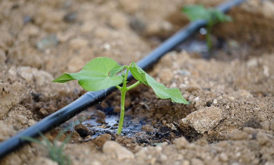 Summer surge in HTA’s water resilience campaign