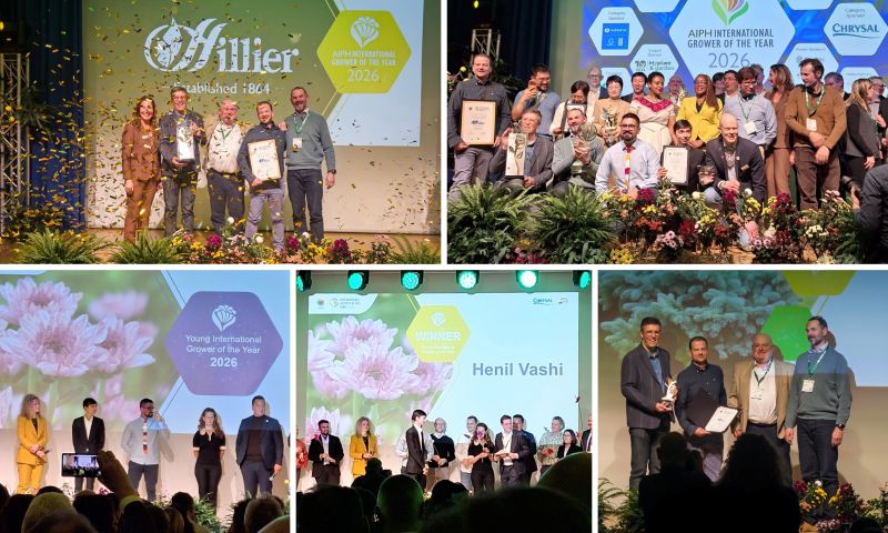 HTA members scoop top prizes at International Grower of the Year awards
