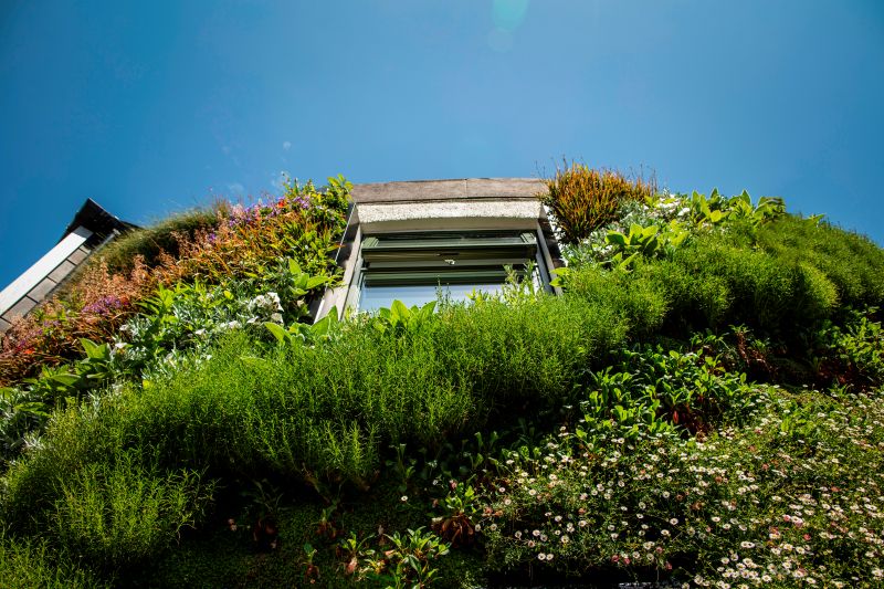 Living walls boost biodiversity by providing safe spaces for urban wildlife, says new research