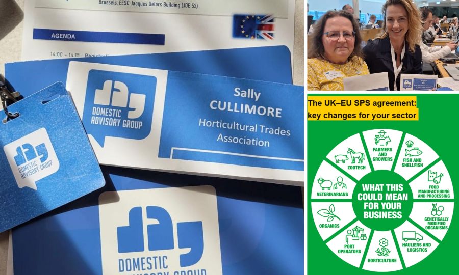 HTA calls for meaningful UK-EU SPS deal following Brussels trade talks