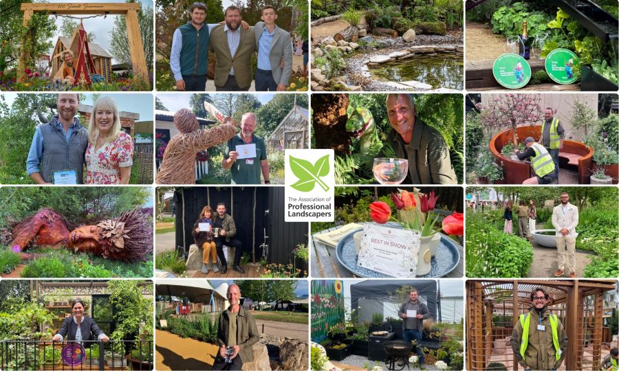 APL members&rsquo; impressive medal haul at summer flower shows