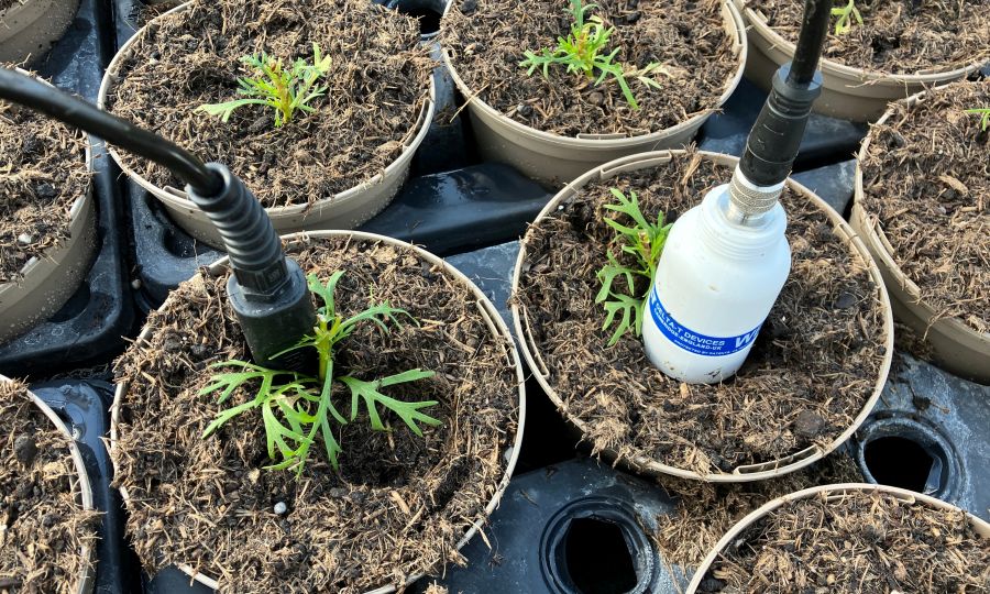 Peat-free push gets tech boost with new sensor trial