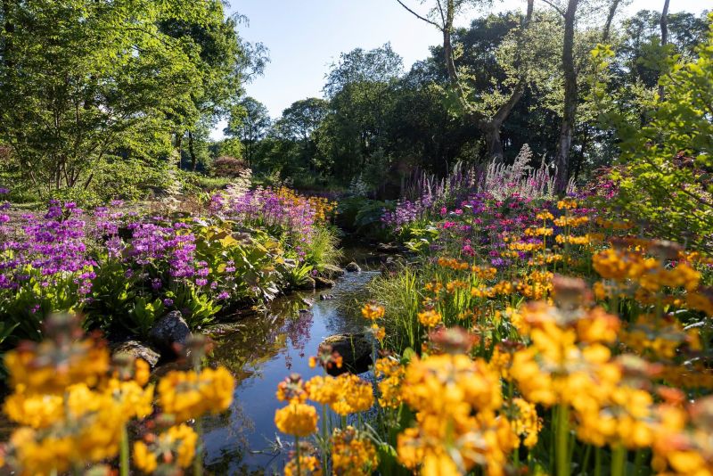 RHS and water partners join forces to understand and help reduce outdoor water use