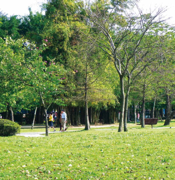 Public confidence in councils grows around parks and leisure as financial pressures persist